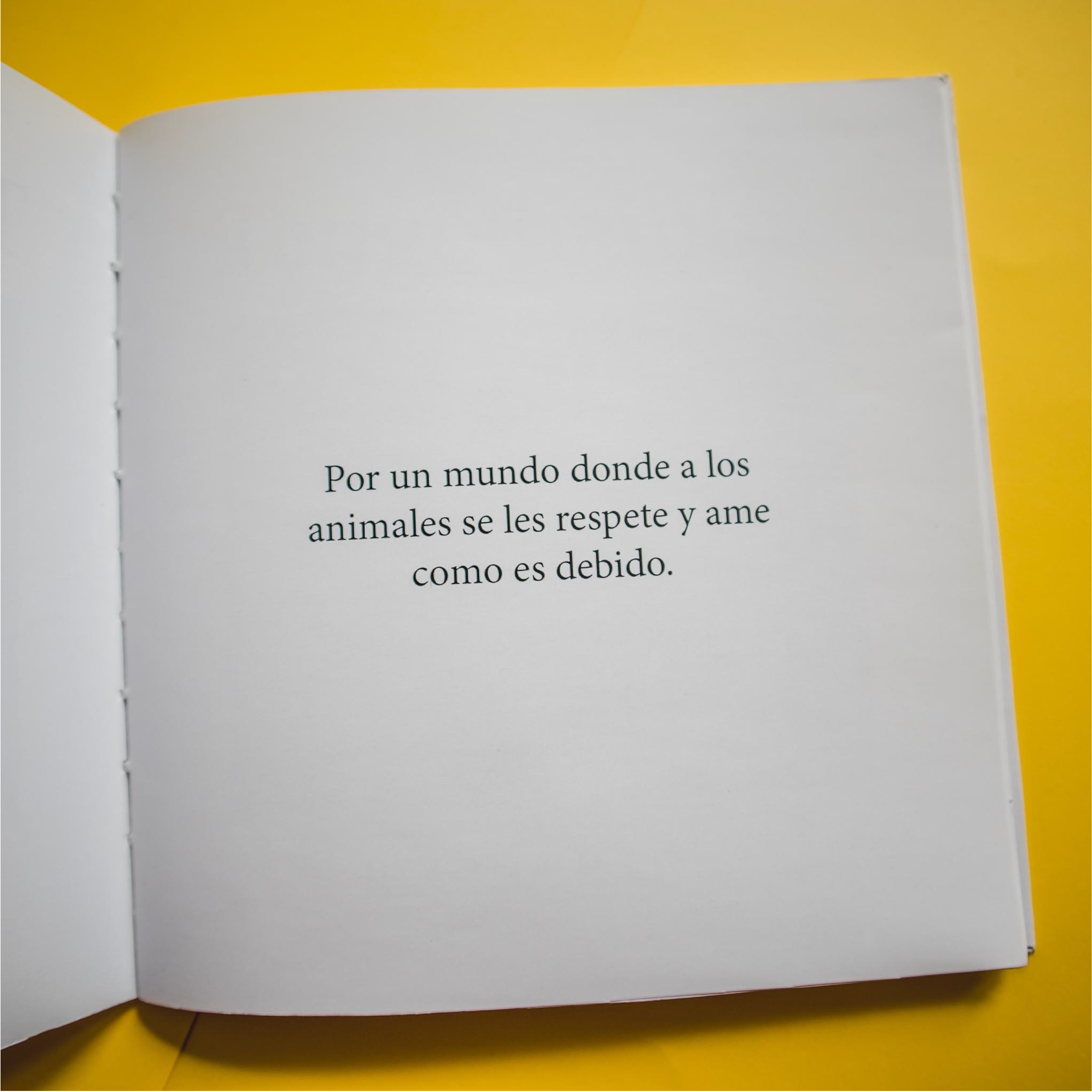 Tengo Hambre: imagen 2