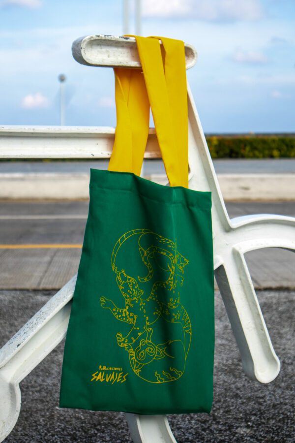 Premium / Nómada Salvaje